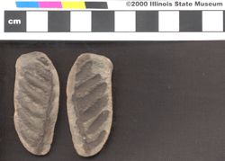Small image of specimen