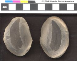 Small image of specimen