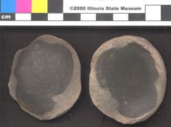 Small image of specimen