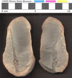 Small image of specimen