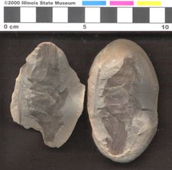 Small image of specimen