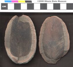 Small image of specimen