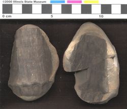 Small image of specimen