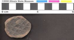 Small image of specimen