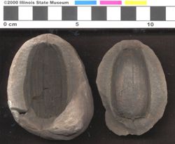 Small image of specimen