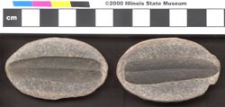 Small image of specimen