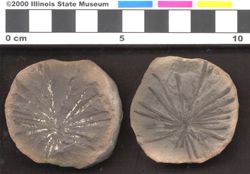 Small image of specimen