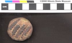 Small image of specimen