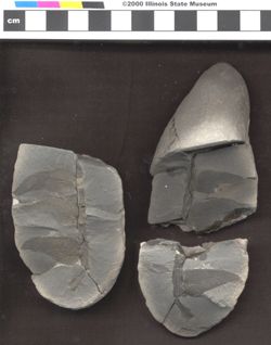 Small image of specimen