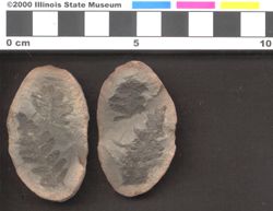 Small image of specimen