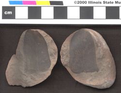 Small image of specimen