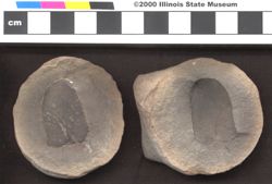 Small image of specimen