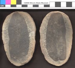 Small image of specimen