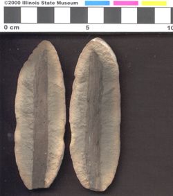 Small image of specimen