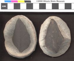 Small image of specimen