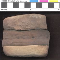 Small image of specimen