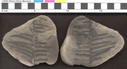 Small image of specimen