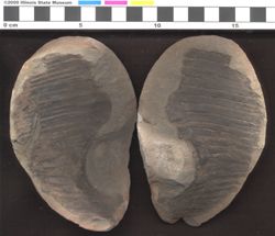 Small image of specimen