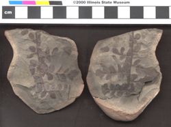 Small image of specimen