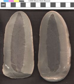 Small image of specimen