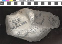 Small image of specimen