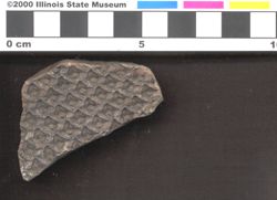 Small image of specimen