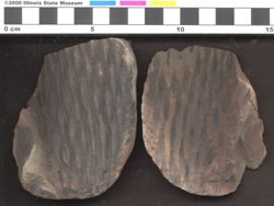 Small image of specimen
