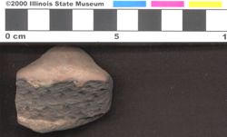 Small image of specimen