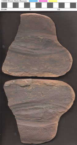Small image of specimen
