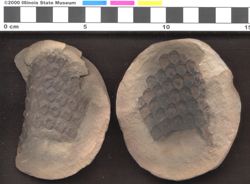 Small image of specimen