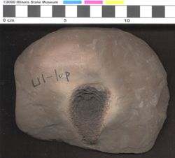 Small image of specimen