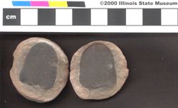 Small image of specimen