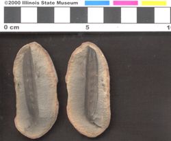 Small image of specimen