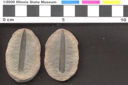 Small image of specimen