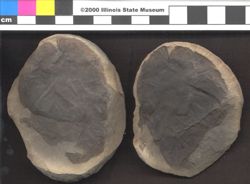 Small image of specimen
