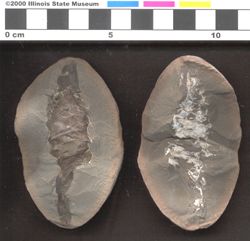 Small image of specimen