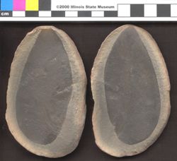 Small image of specimen
