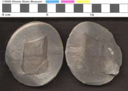 Small image of specimen