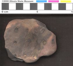 Small image of specimen