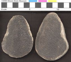 Small image of specimen