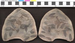 Small image of specimen