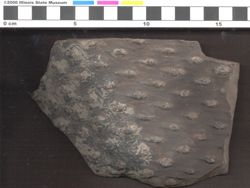Small image of specimen