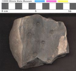 Small image of specimen