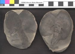 Small image of specimen