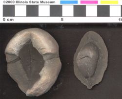 Small image of specimen