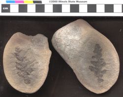 Small image of specimen