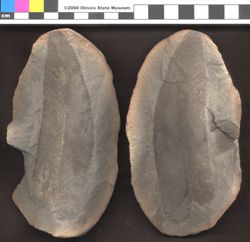 Small image of specimen