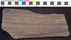 Small image of specimen