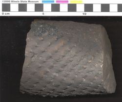 Small image of specimen