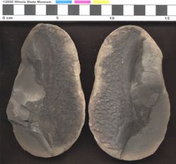 Small image of specimen